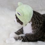 froggyhat2