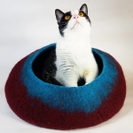 maroonandtealwoolcatbed